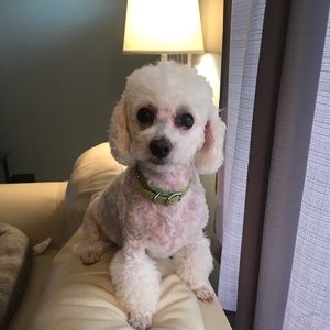 Meet your Posher, Mary